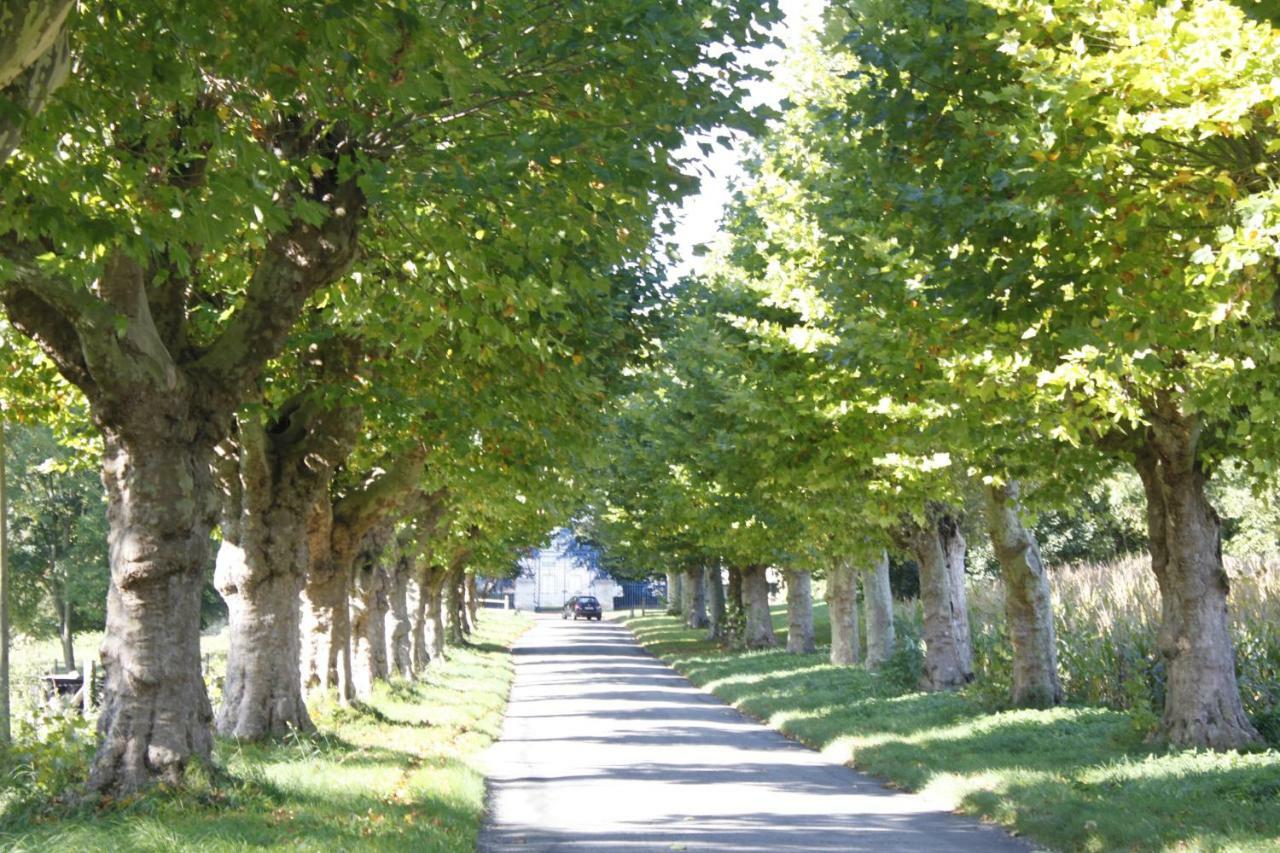 Avenue Du Chateau Saint-Just  Экстерьер фото